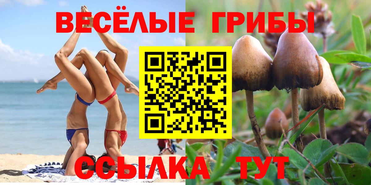 Галлюциногенные грибы прущие грибы  Вход с VPN  Галлюциногенные грибы прущие грибы  Ногинск 